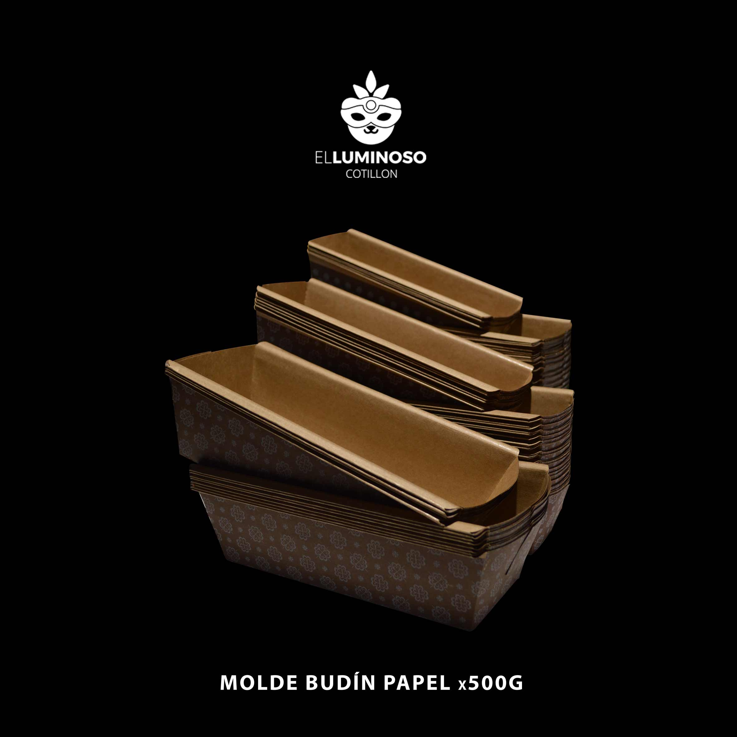 BUDIN PAPEL X500 GRS X1
