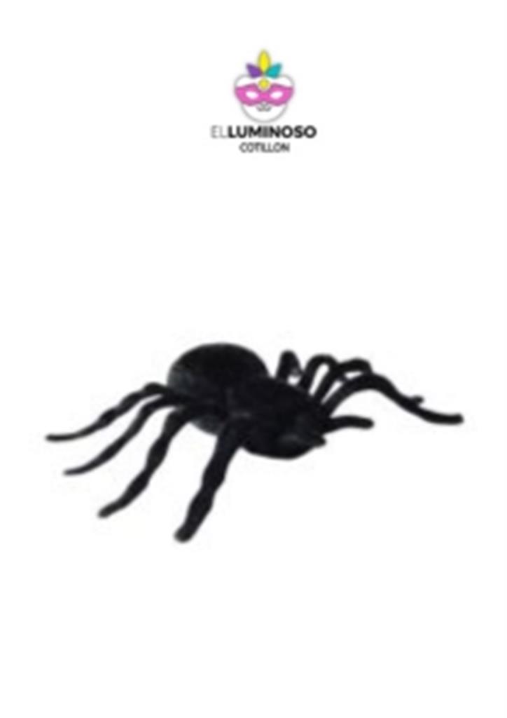 ARAÑA FELPA CON APLIQUE FJ5106