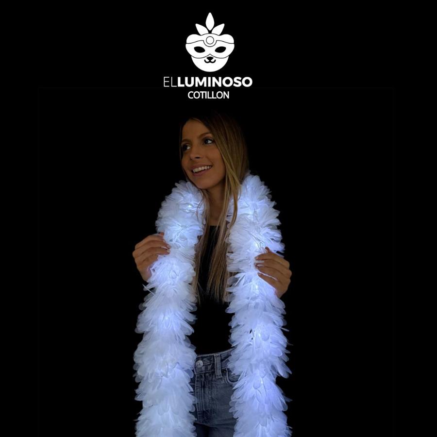 BOA GERBERA FT LED