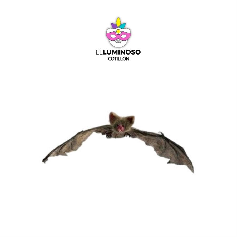 MURCIELAGO DECORATIVO CHICO 65X25 HD117
