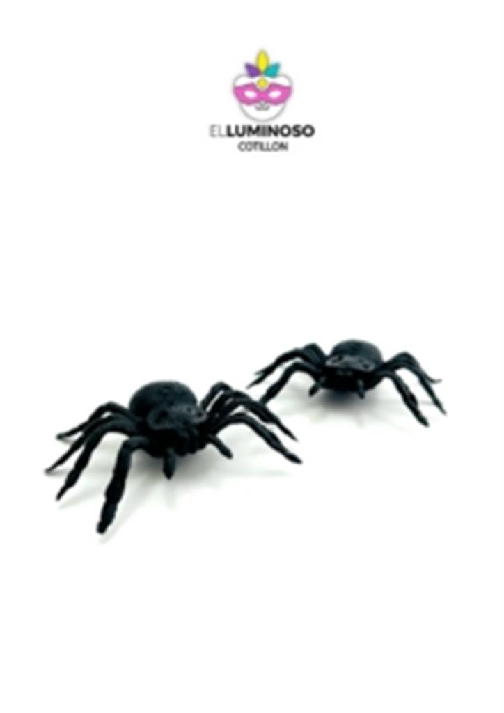 ARAÑA GRANDE X2 STASSIO